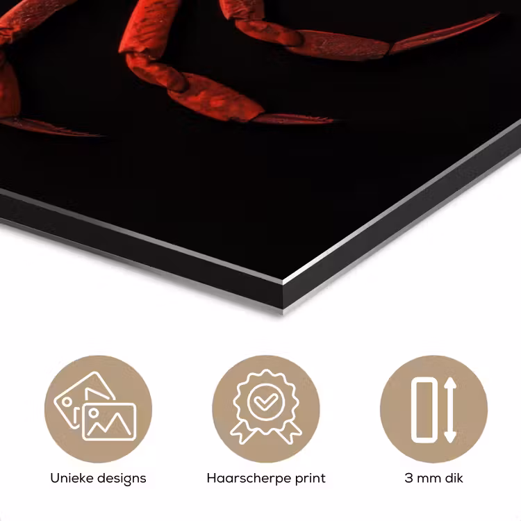 Aluminium schilderij - Krab - Rood - Vissen - Schaaldieren — 7