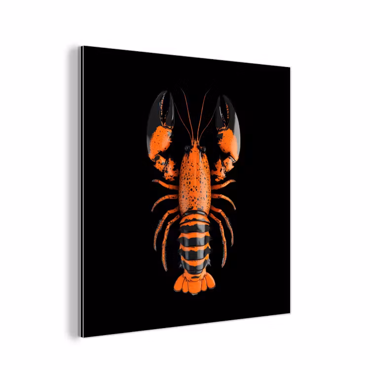 Aluminium schilderij - Kreeft - Oranje - Zwart - Modern — 1
