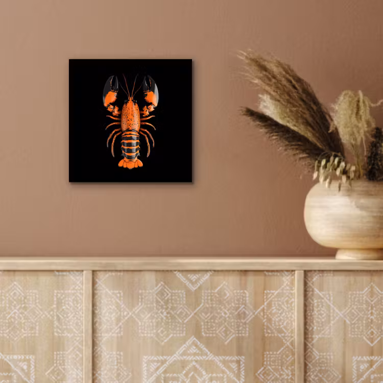 Aluminium schilderij - Kreeft - Oranje - Zwart - Modern — 5