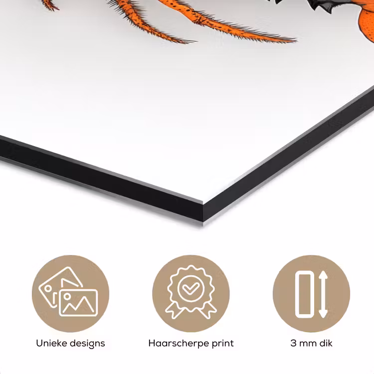 Aluminium schilderij - Kreeft - Zwart - Oranje - Wit - Uniek — 7