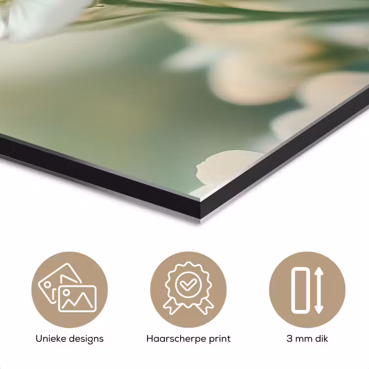 Aluminium schilderij - Lieveheersbeestje - Bloemen - Wit — 7