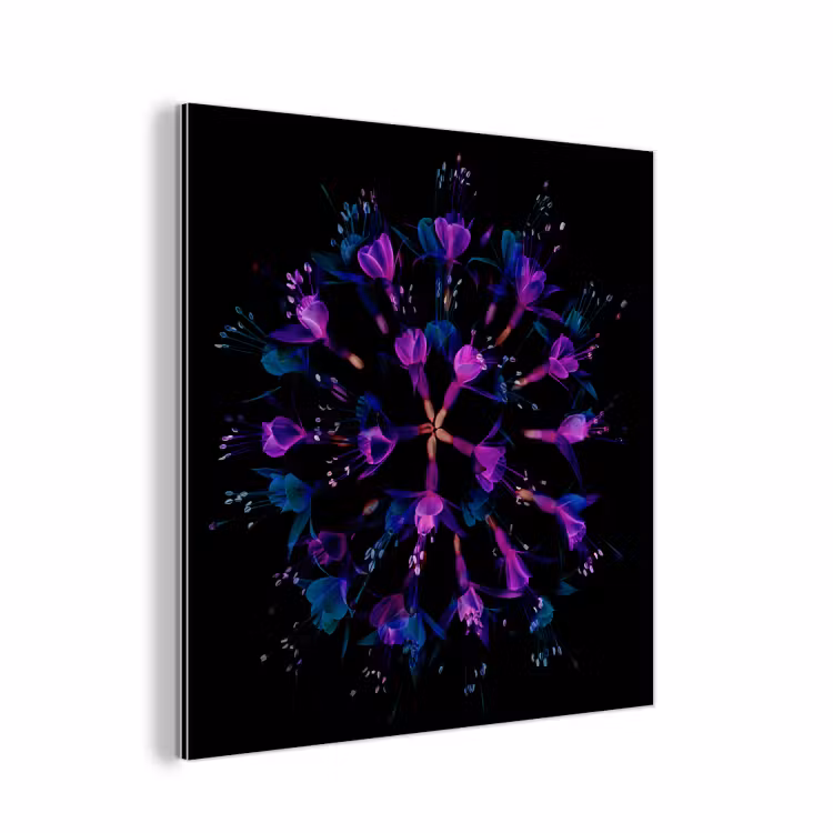 Aluminium schilderij - Bloem - Paars - Blauw - Macro - Zwart — 1