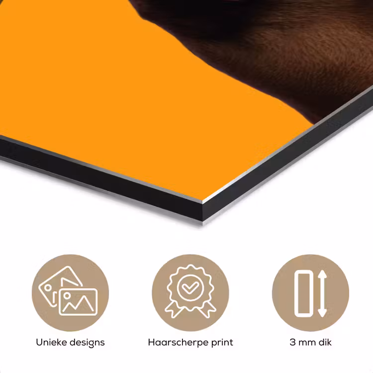 Aluminium schilderij - Hond - Oranje - Roos - Valentijn — 7