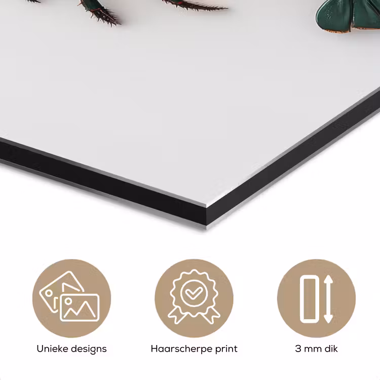 Aluminium schilderij - Kreeft - Glossier - Groen - Wit — 7