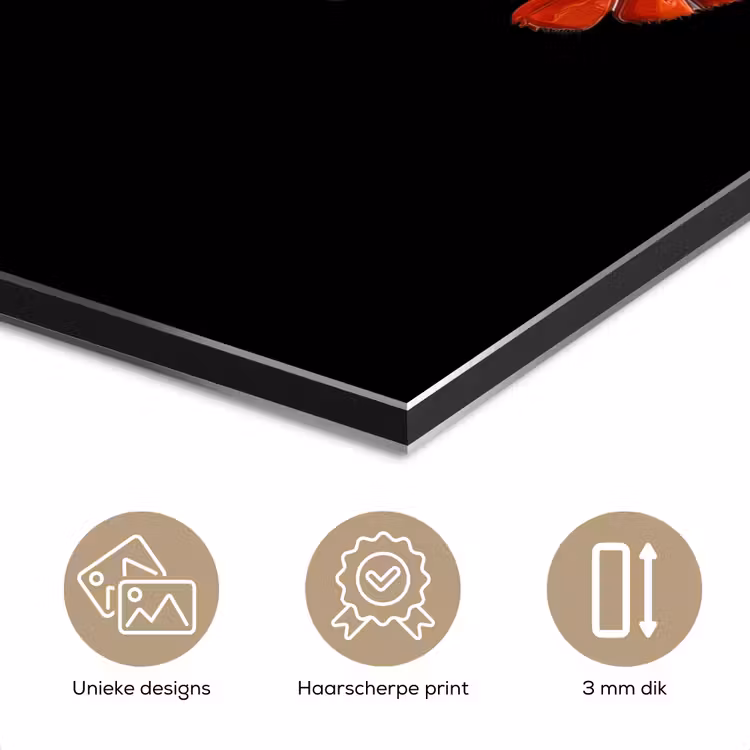 Aluminium schilderij - Kreeft - Glossier Rood - Zwart — 7