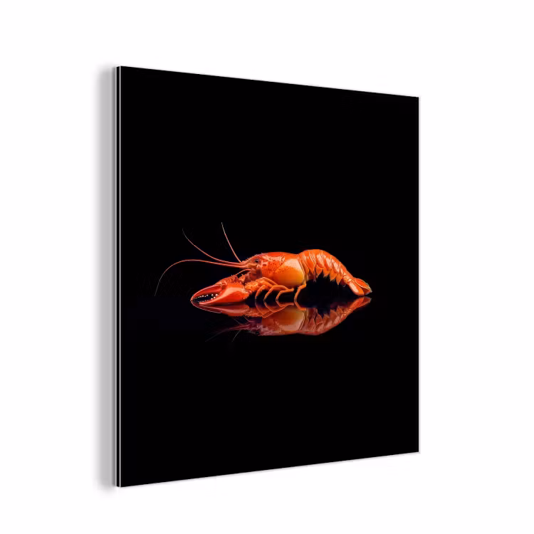 Aluminium schilderij - Kreeft - Oranje - Zwart - Opvallend — 1
