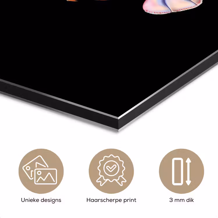 Aluminium schilderij - Kreeft - Roze - Zacht - Zwart — 7