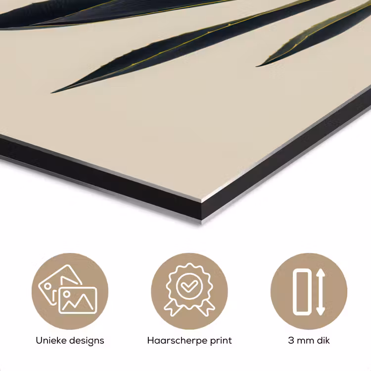Aluminium schilderij - Agaveplant - Symmetrisch - Groen — 7