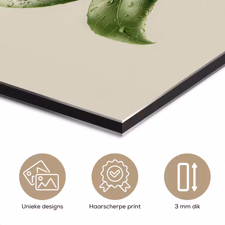 Aluminium schilderij - Cameliabloem - Wit - Groen — 7