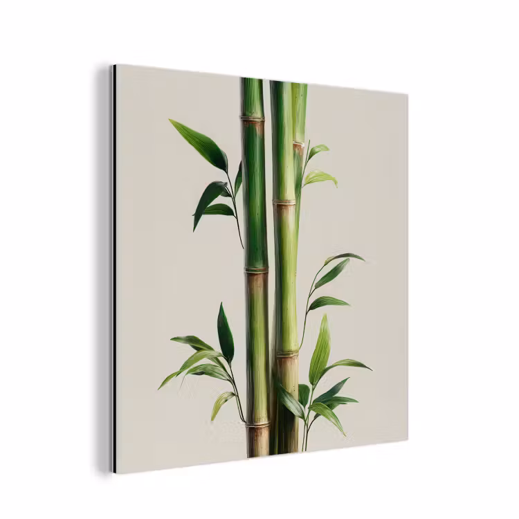Aluminium schilderij - Bamboestengels - Sierlijk - Groen — 1