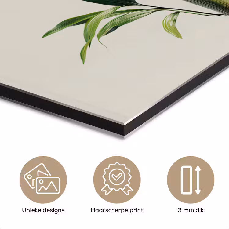 Aluminium schilderij - Bamboestengels - Sierlijk - Groen — 7