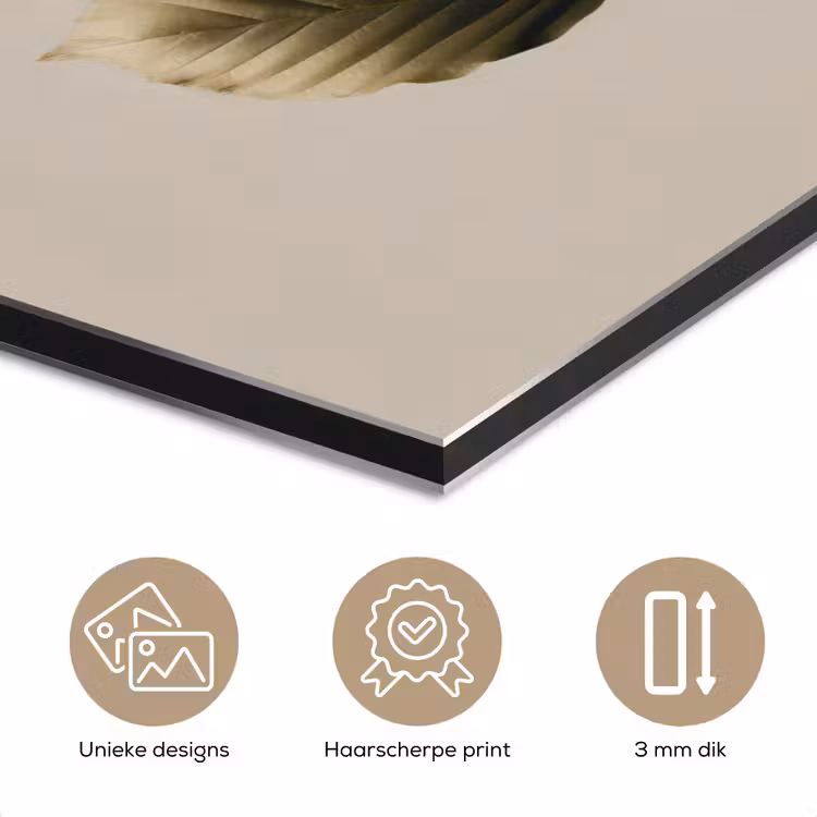 Aluminium schilderij - Beukenbladeren - Bruin - Groen - neutraal — 7