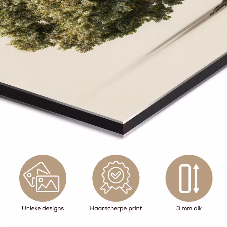 Aluminium schilderij - Eikenboom - Groen - Lichte achtergrond — 7