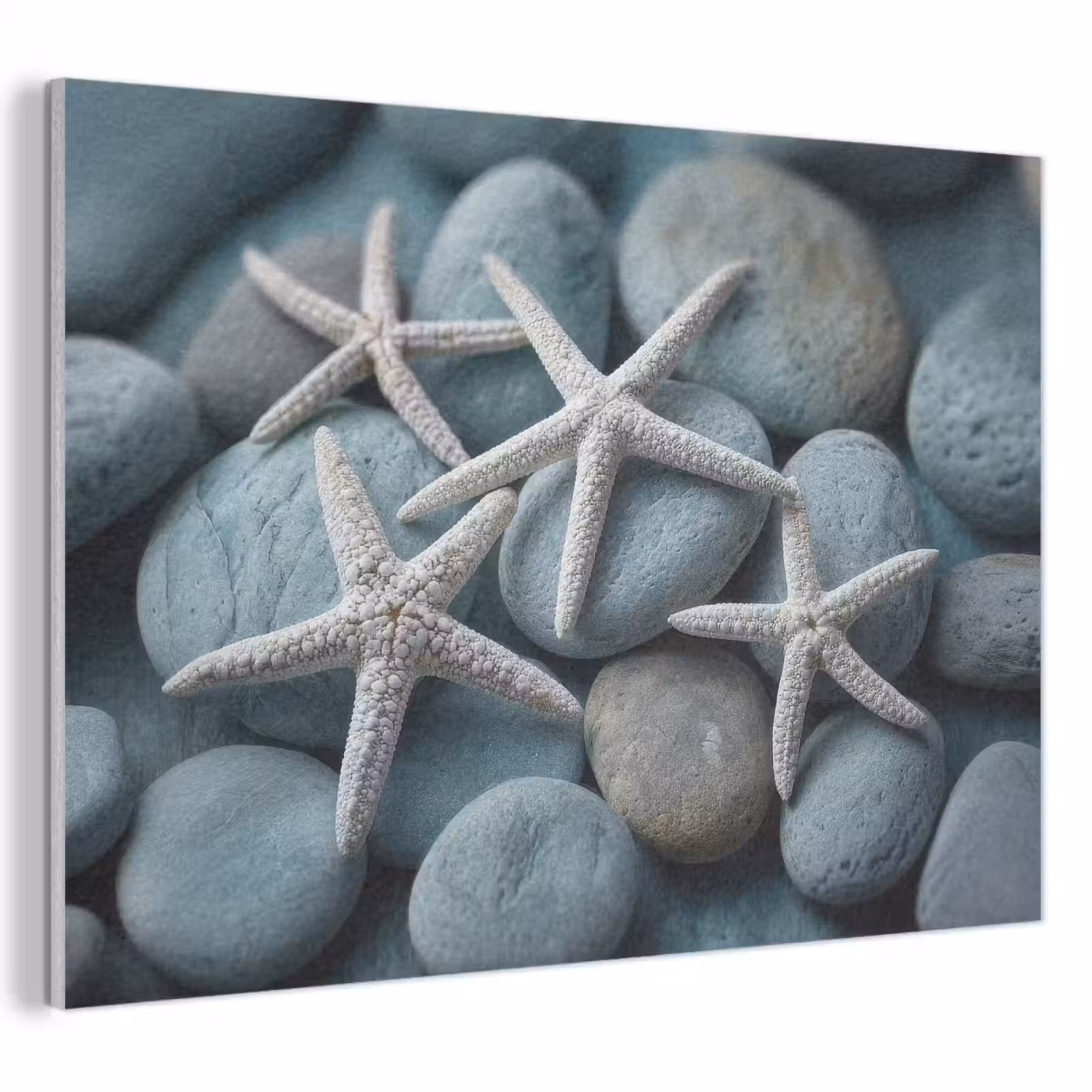 Akoestisch schilderij - Zeesterren - Stenen - Wit — 1