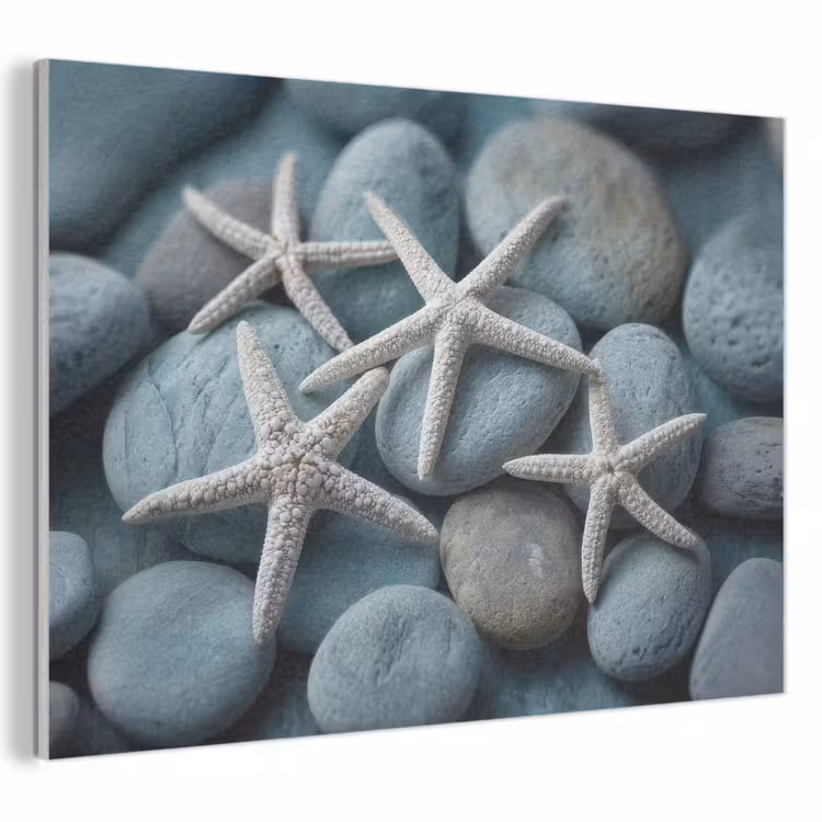 Akoestisch schilderij - Zeesterren - Stenen - Wit — 1