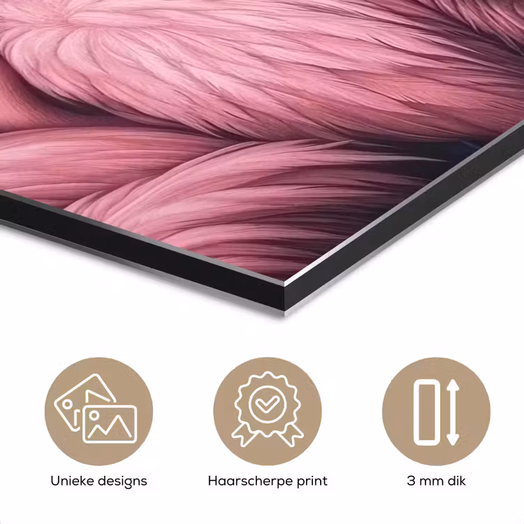 Aluminium schilderij - Flamingo - Roze - Dieren — 7