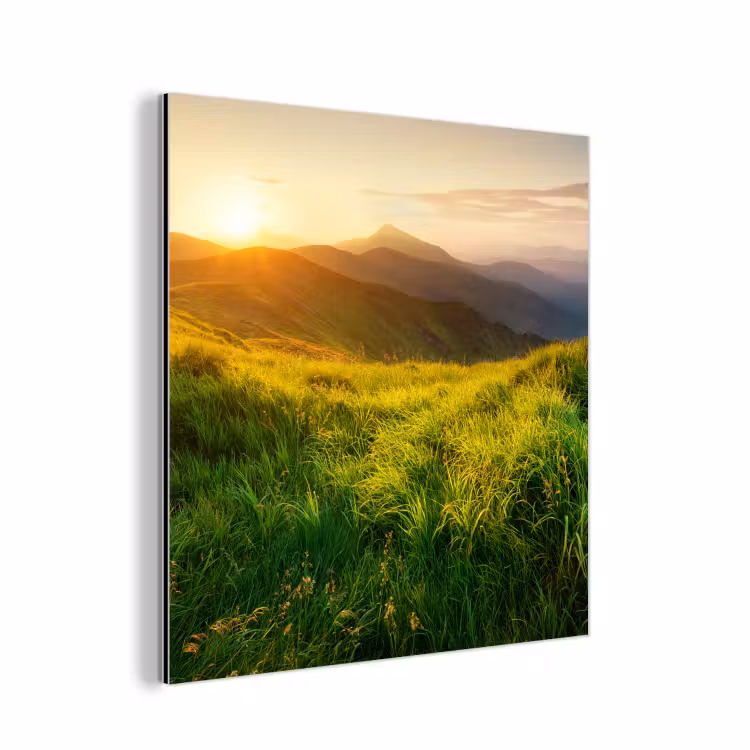Aluminium schilderij - Gras - Heuvels - Zon - Natuur - Landschap — 1