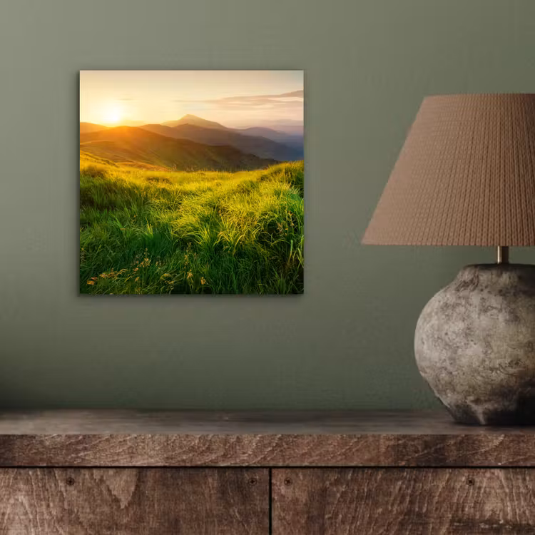 Aluminium schilderij - Gras - Heuvels - Zon - Natuur - Landschap — 3