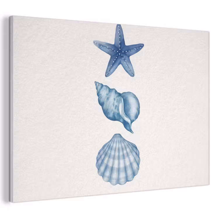 Akoestisch schilderij - Zeester - Schelpen - Blauw — 1