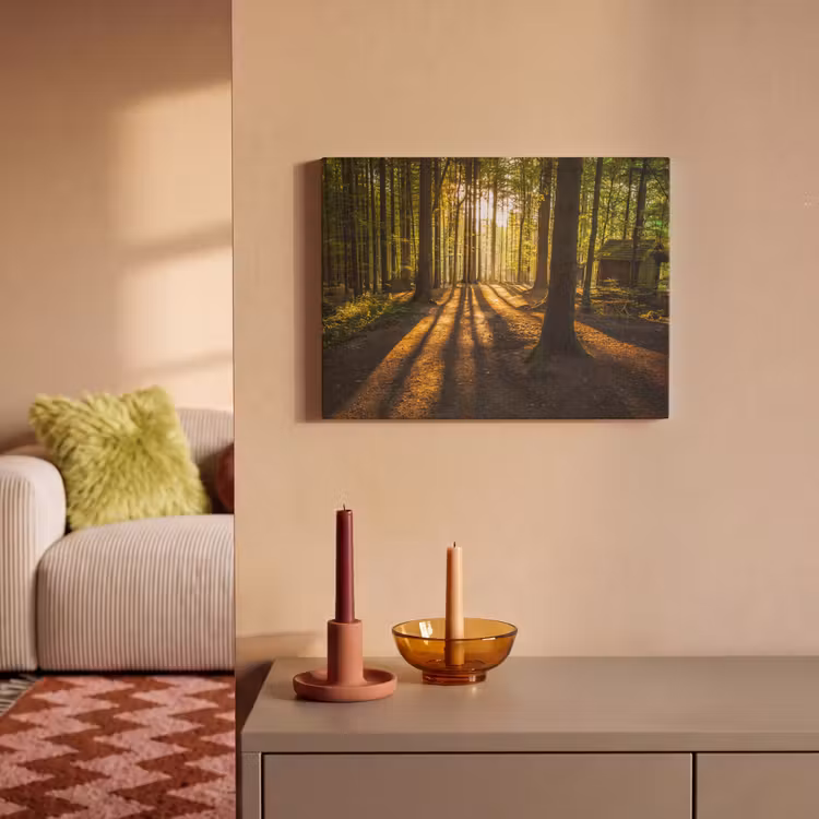 Akoestisch schilderij - Zon - Bomen - Bos - Landschap - Natuur — 2