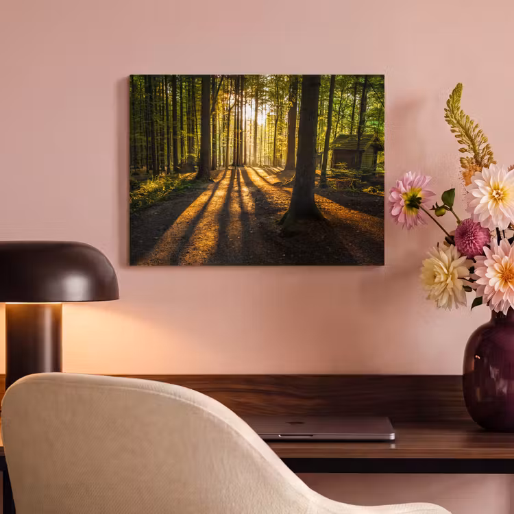 Akoestisch schilderij - Zon - Bomen - Bos - Landschap - Natuur — 4