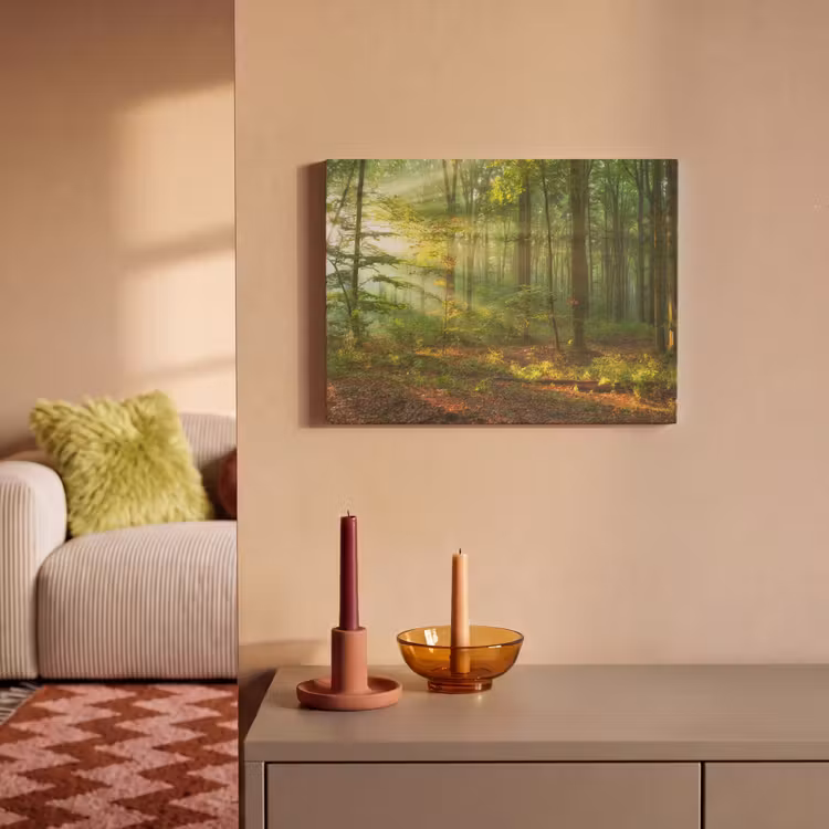 Akoestisch schilderij - Zon - Bos - Bomen - Natuur - Herfst — 2