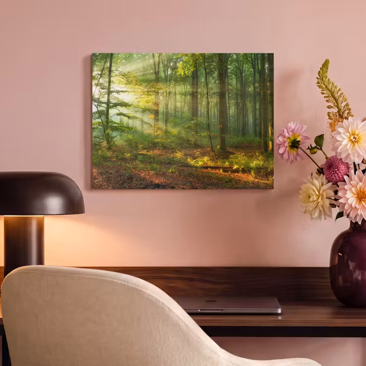 Akoestisch schilderij - Zon - Bos - Bomen - Natuur - Herfst — 4