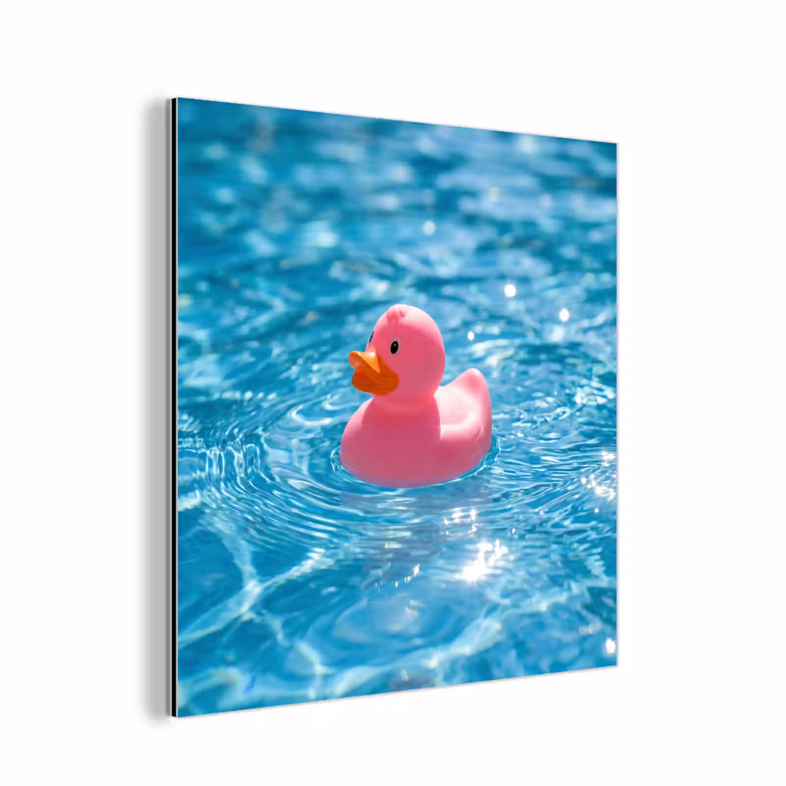 Aluminium schilderij - Badeend - Dobberend - Roze — 1