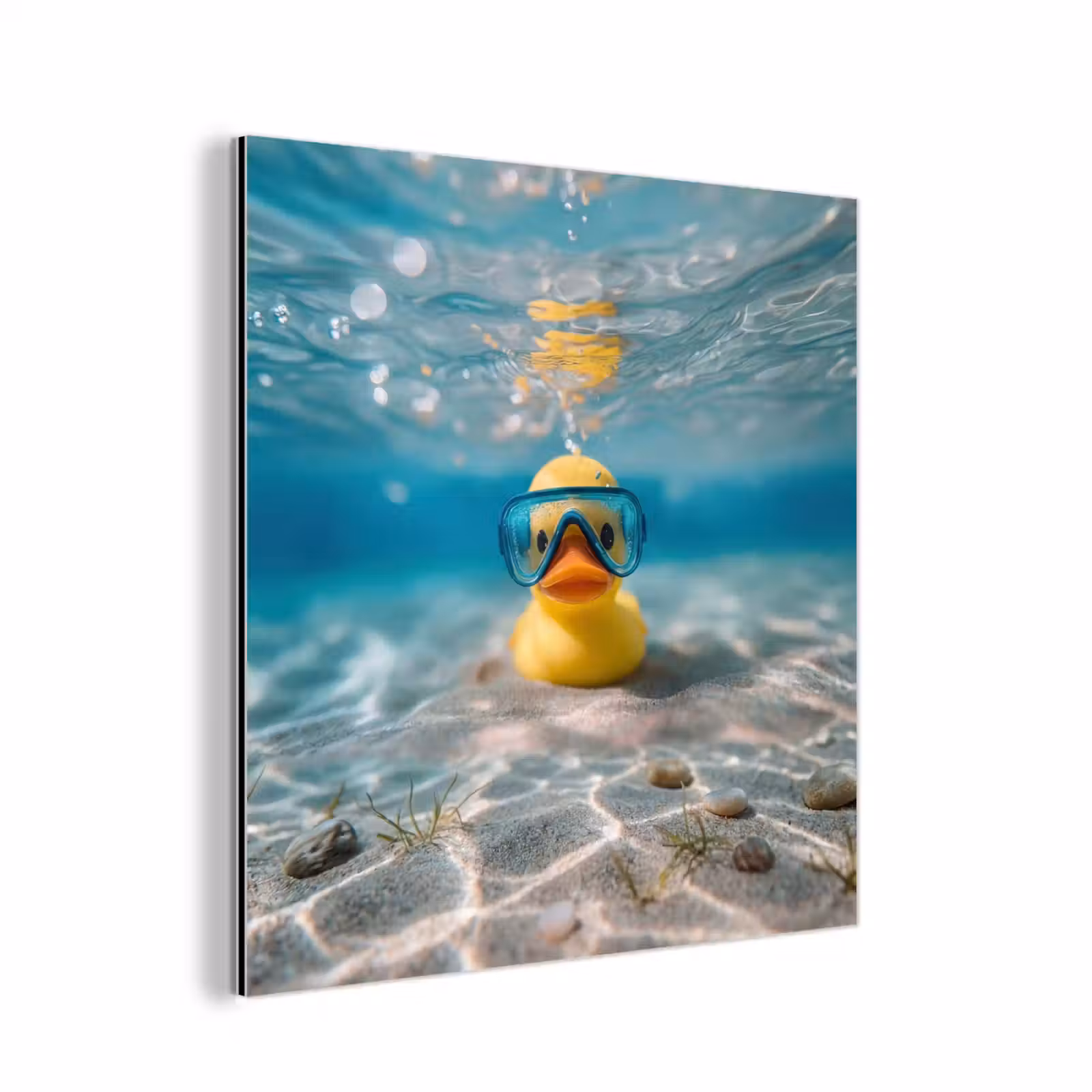 Aluminium schilderij - Duikbril - Eend - Water — 1