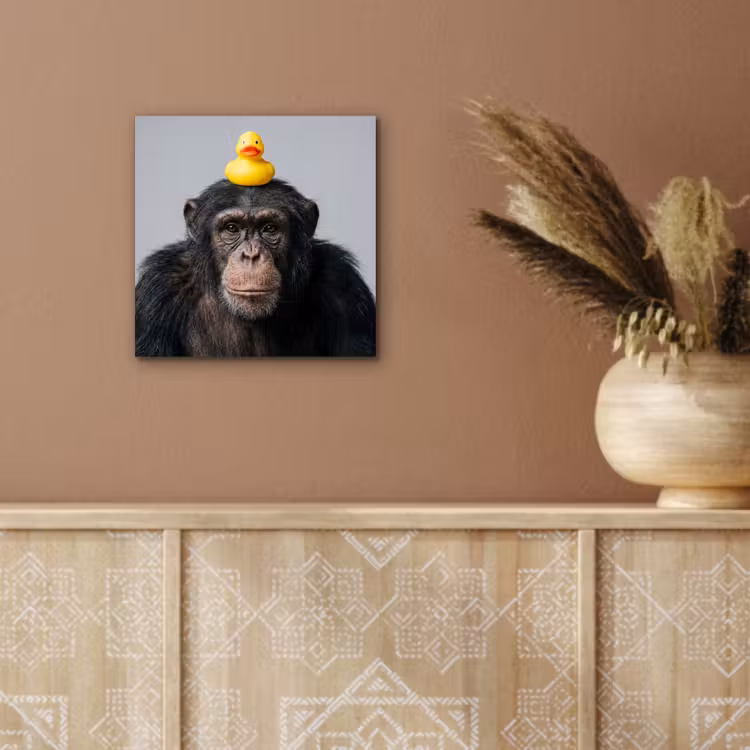 Aluminium schilderij - Chimpansee - Badeend - Grijs — 5