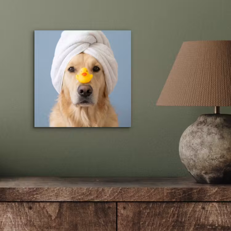 Aluminium schilderij - Hond - Badeend - Geel — 3