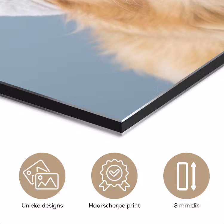 Aluminium schilderij - Hond - Badeend - Geel — 7