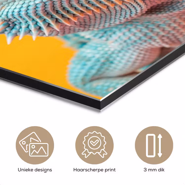 Aluminium schilderij - Kameleon - Kauwgom - Kleurrijk — 7