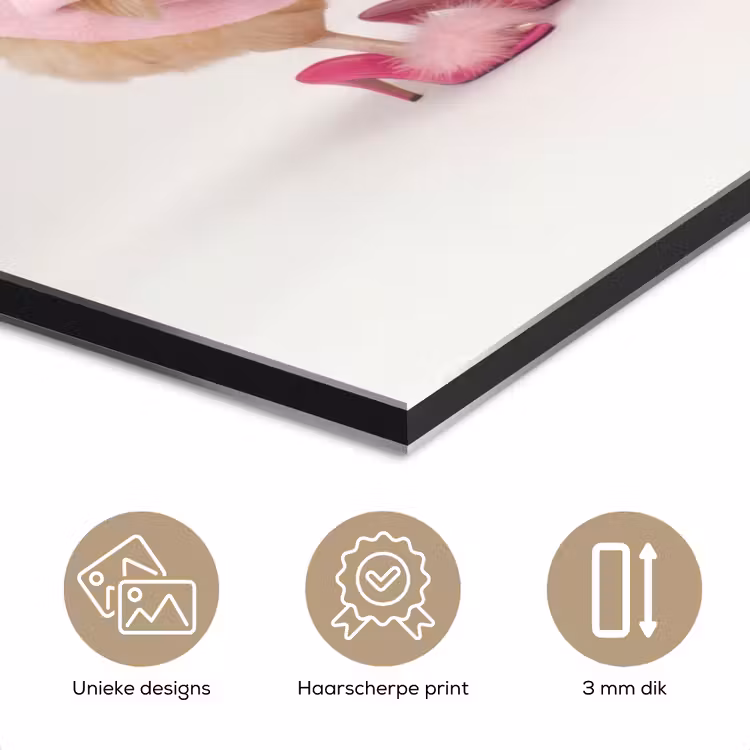 Aluminium schilderij - Kippen - Badjas - Krukspelden - Hakken — 7