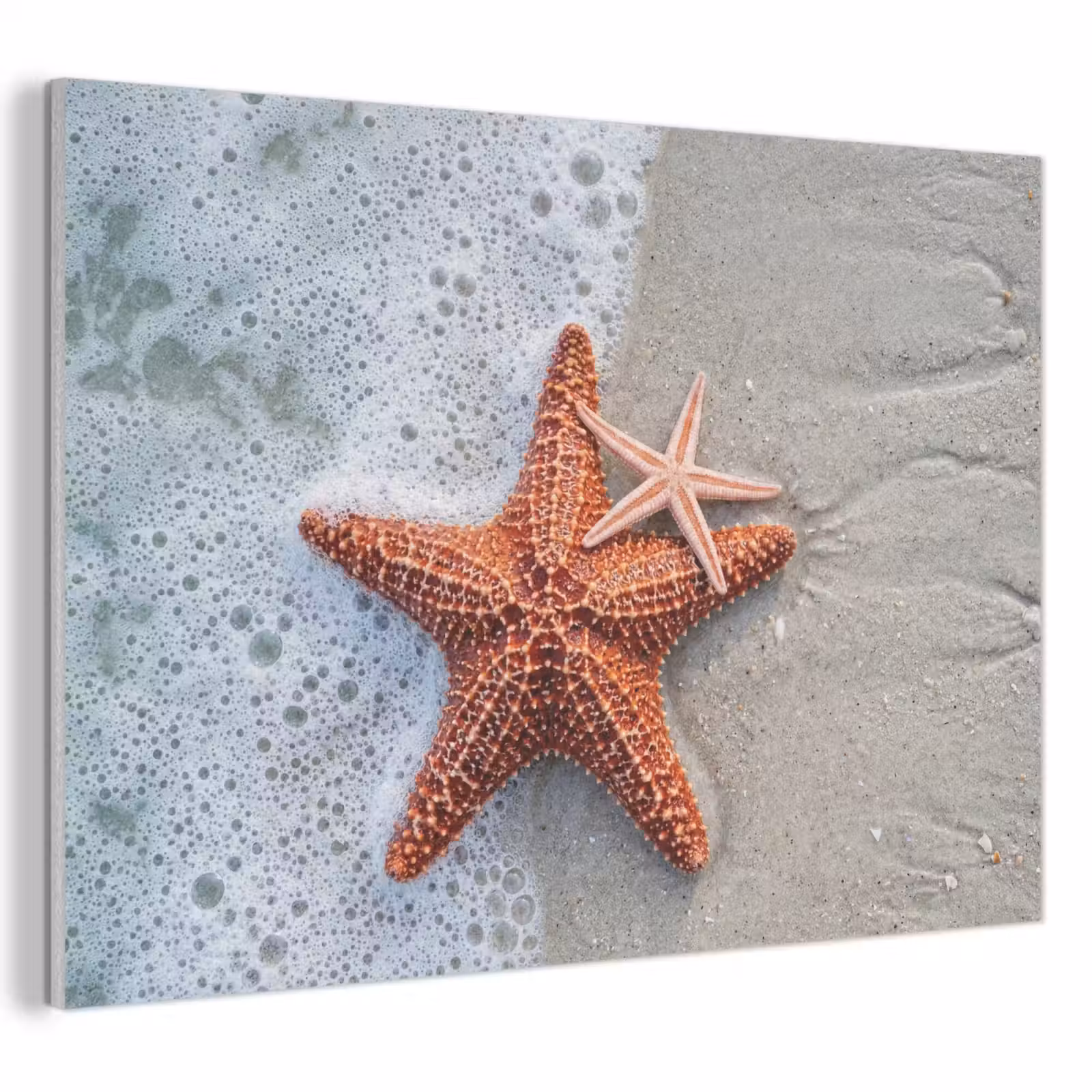 Akoestisch schilderij - Zeester - Strand - Zee — 1
