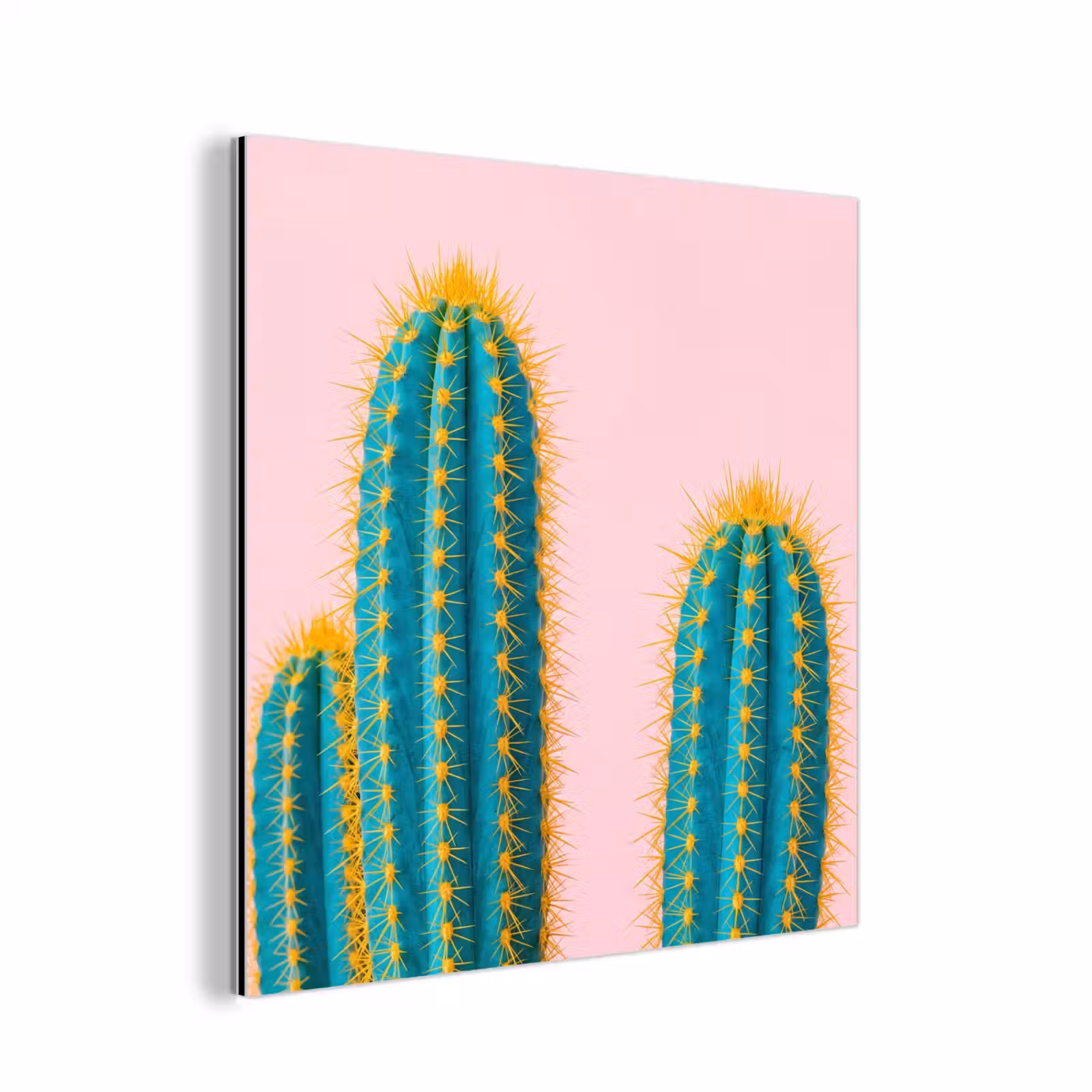 Aluminium schilderij - Cactussen - Modern - Pastel — 1