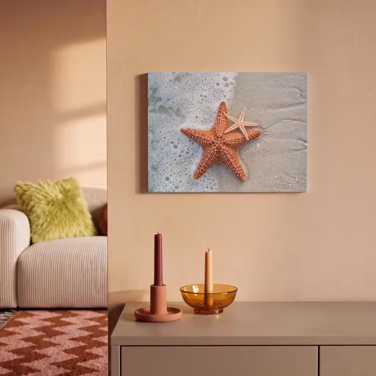 Akoestisch schilderij - Zeester - Strand - Zee — 2