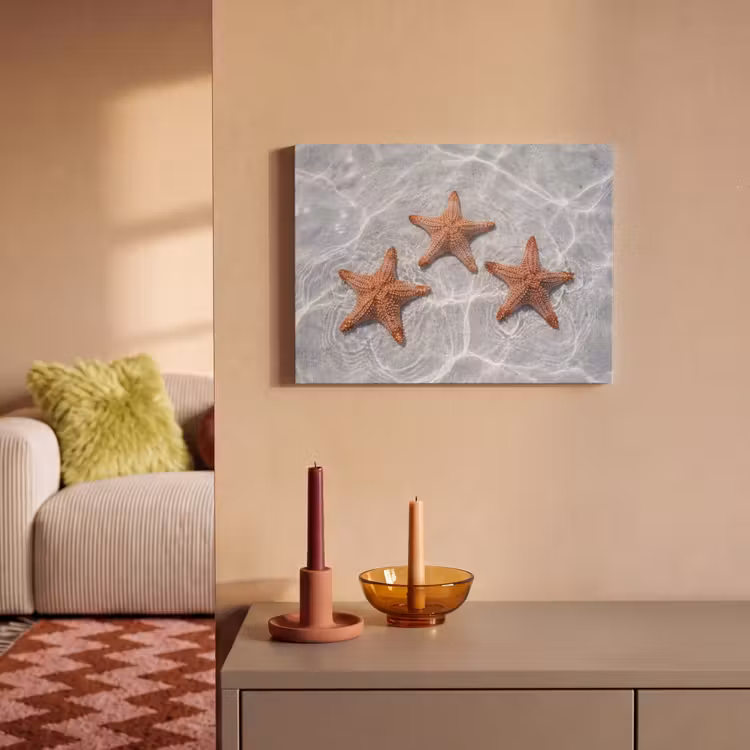 Akoestisch schilderij - Zeesterren - Water - Helder — 2