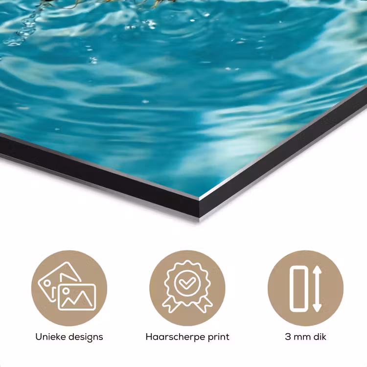 Aluminium schilderij - Kokosnoot - Water - Wit — 7