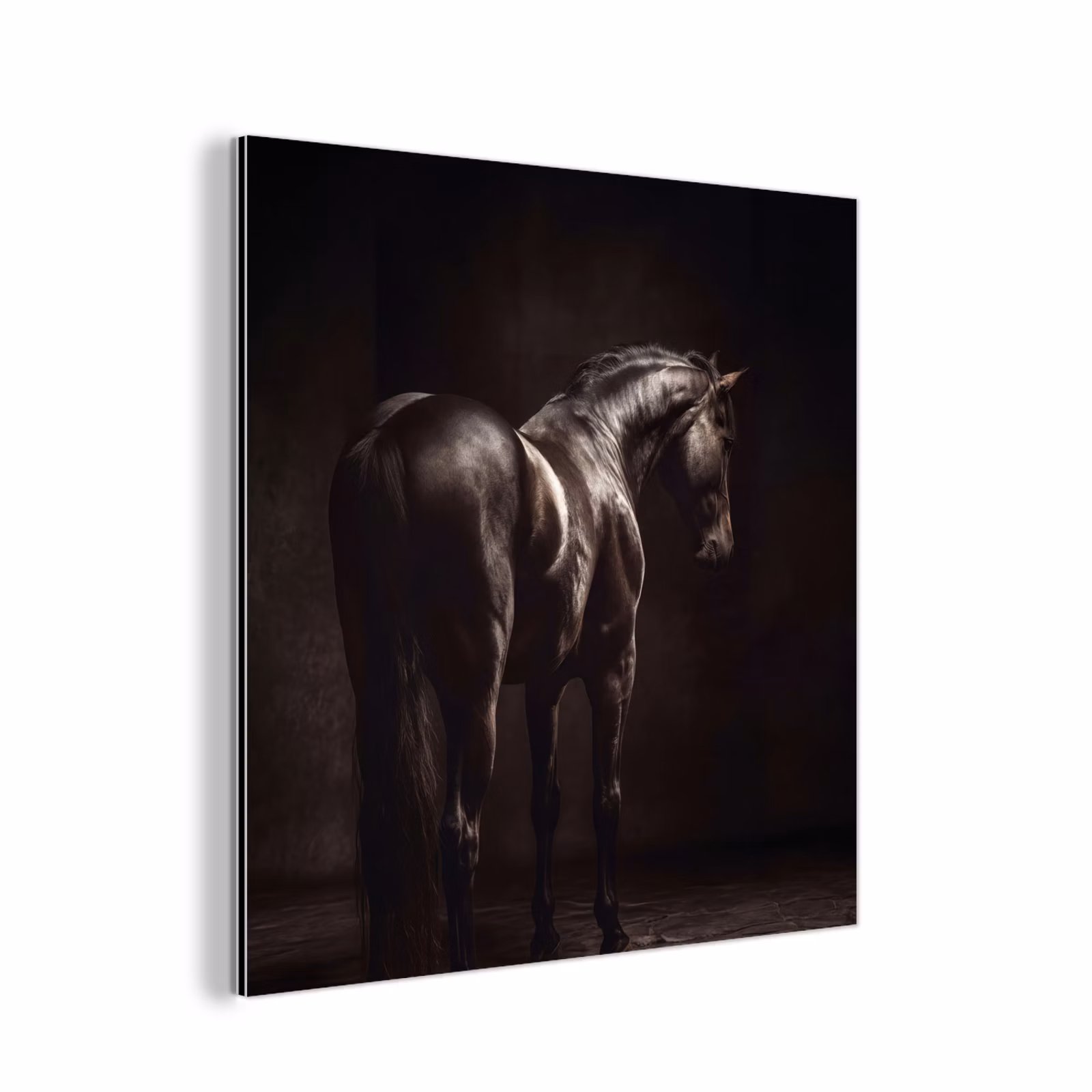 Aluminium schilderij - Krachtig - Paard - Donker — 1