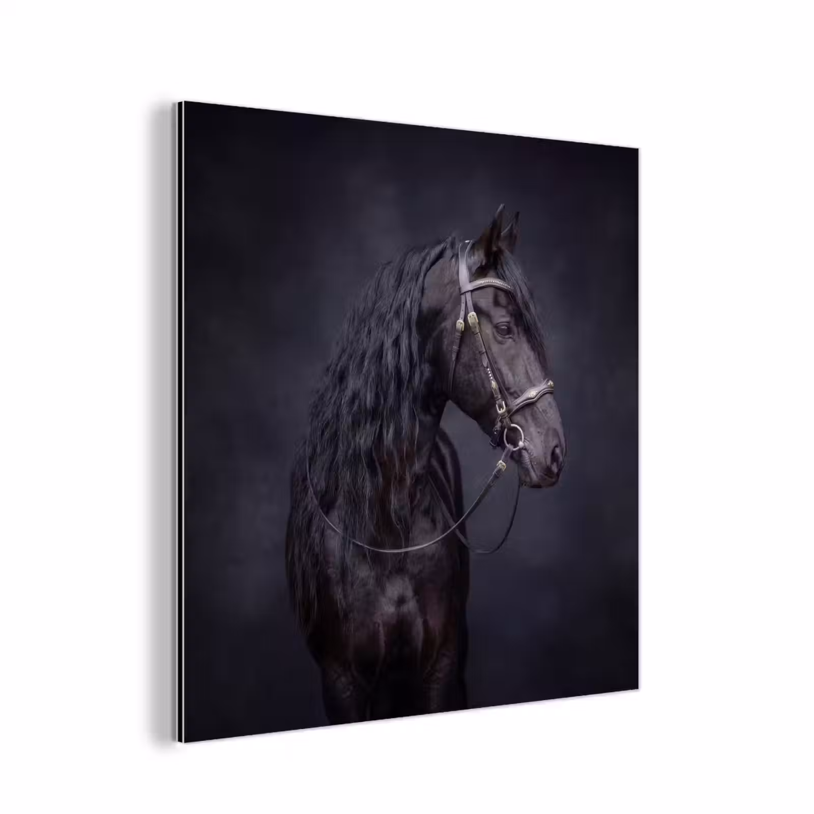 Aluminium schilderij - Portret - Paard - Donker — 1