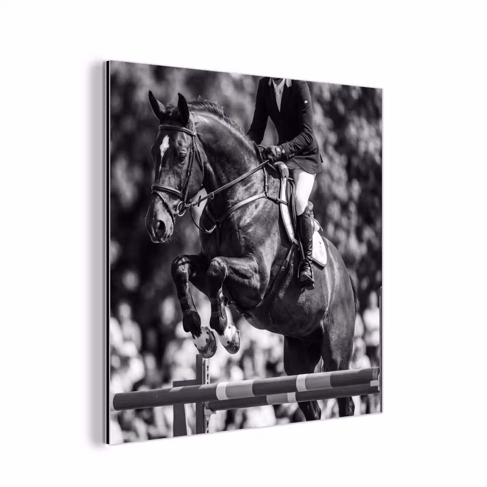 Aluminium schilderij - Springen - Paard - Zwart - Wit — 1