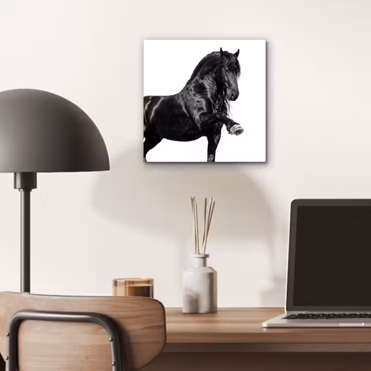 Aluminium schilderij - Fries - Hengst - Modern — 6