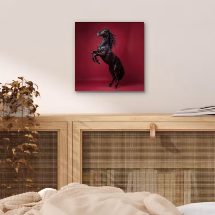 Aluminium schilderij - Hengst - Steigert - Rood — 4