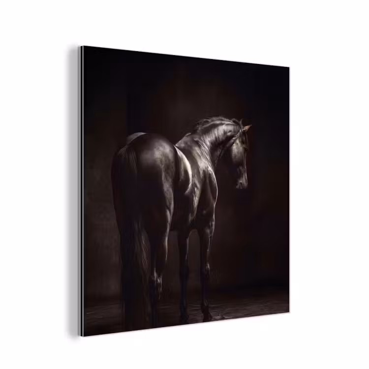 Aluminium schilderij - Krachtig - Paard - Donker — 1