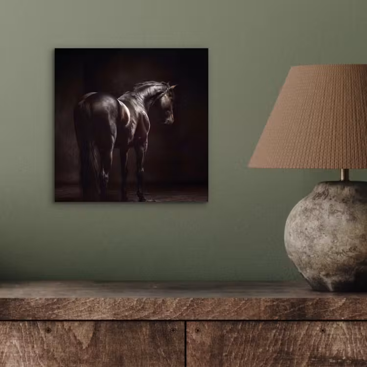 Aluminium schilderij - Krachtig - Paard - Donker — 3