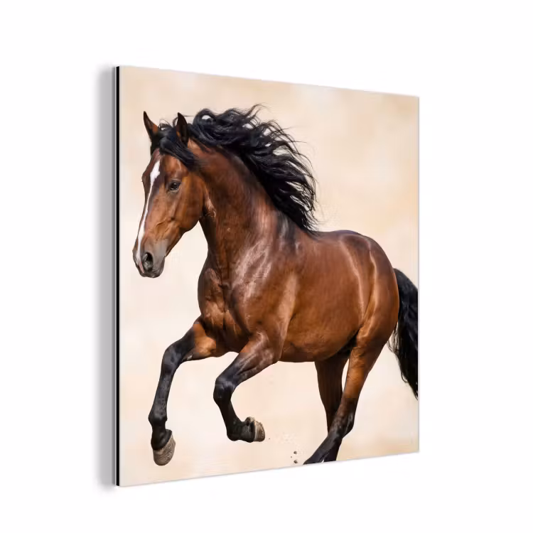 Aluminium schilderij - Paard - Galop - Energie — 1