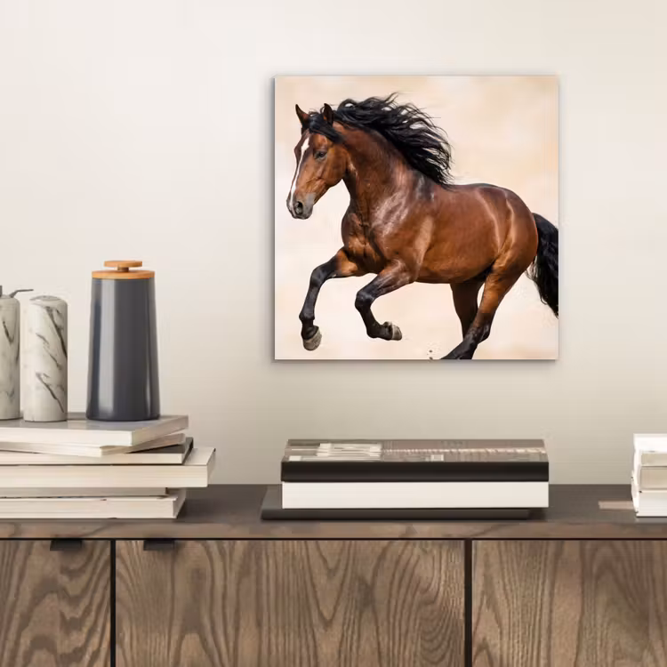 Aluminium schilderij - Paard - Galop - Energie — 2