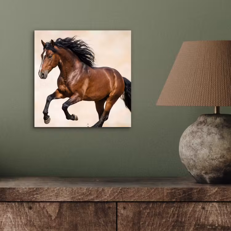 Aluminium schilderij - Paard - Galop - Energie — 3