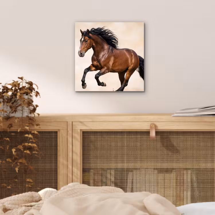 Aluminium schilderij - Paard - Galop - Energie — 4